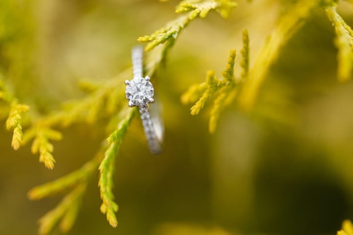 lancaster_pennsylvania_wedding_photographer_harvest_view_farms_weddings_photography32