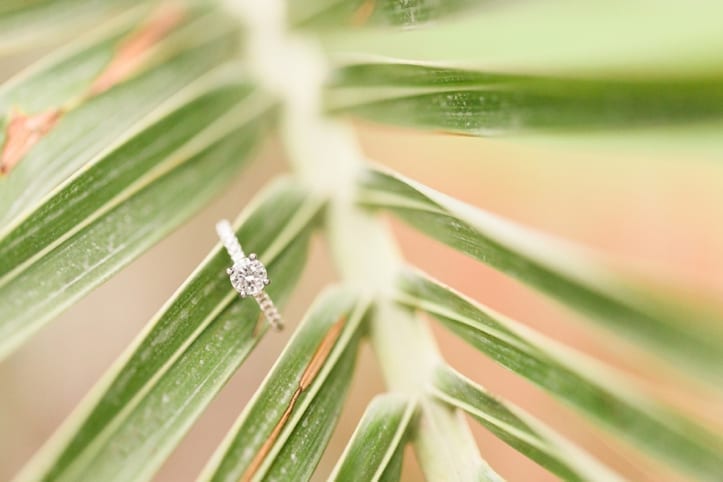 longwood_gardens_engagement_session_photography_pennsylvania_wedding_photographer06