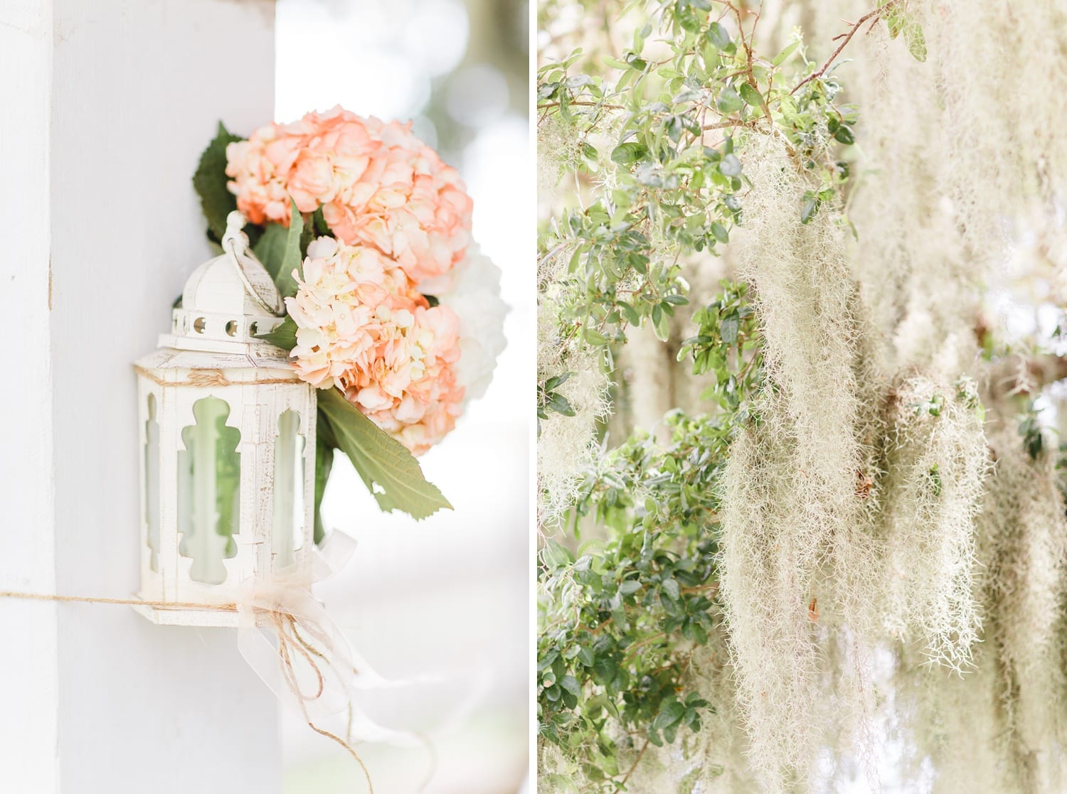 palmetto_riverside_bed_and_breakfast_florida_sarasota_wedding_photographer_photo-046