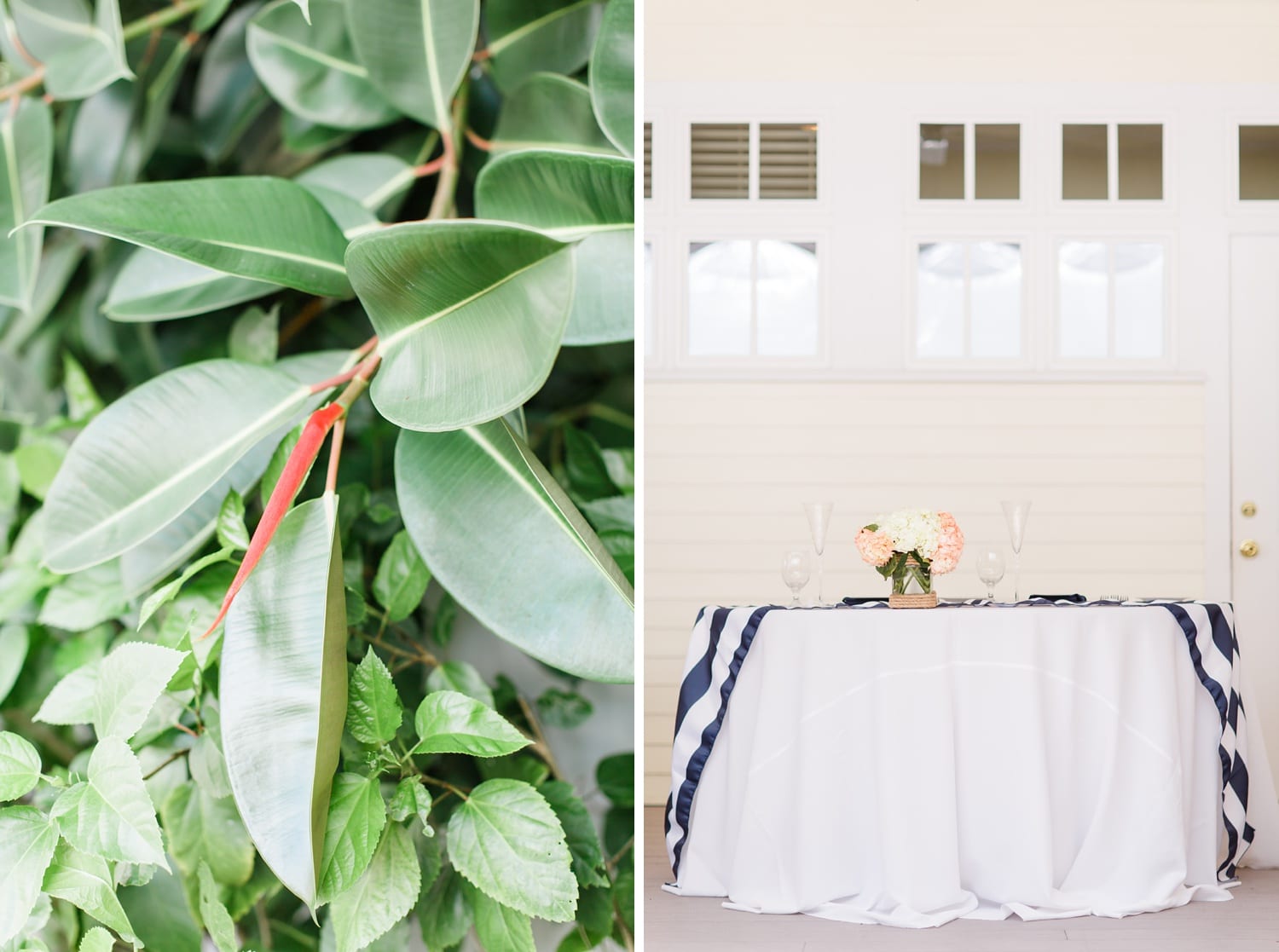 palmetto_riverside_bed_and_breakfast_florida_sarasota_wedding_photographer_photo-091