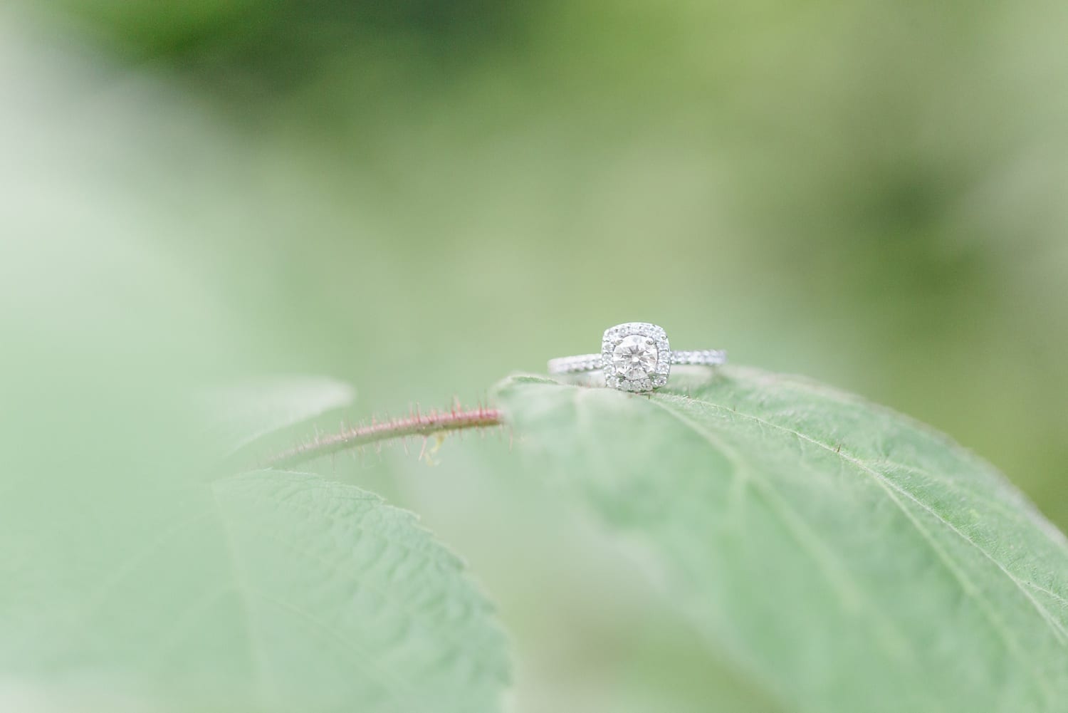 lancaster_pennsylvania_wedding_photographer_engagement_15-photo